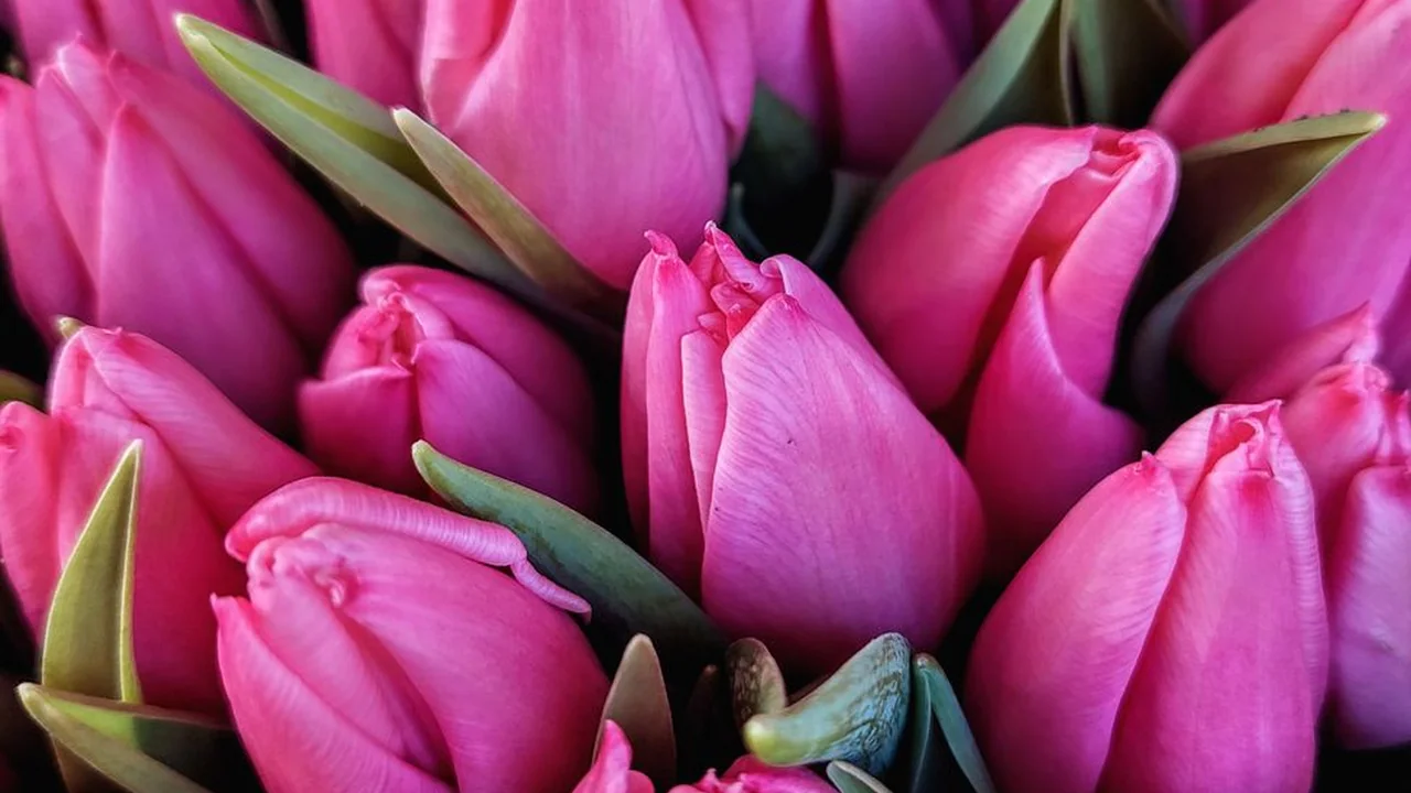 梁家豪头像