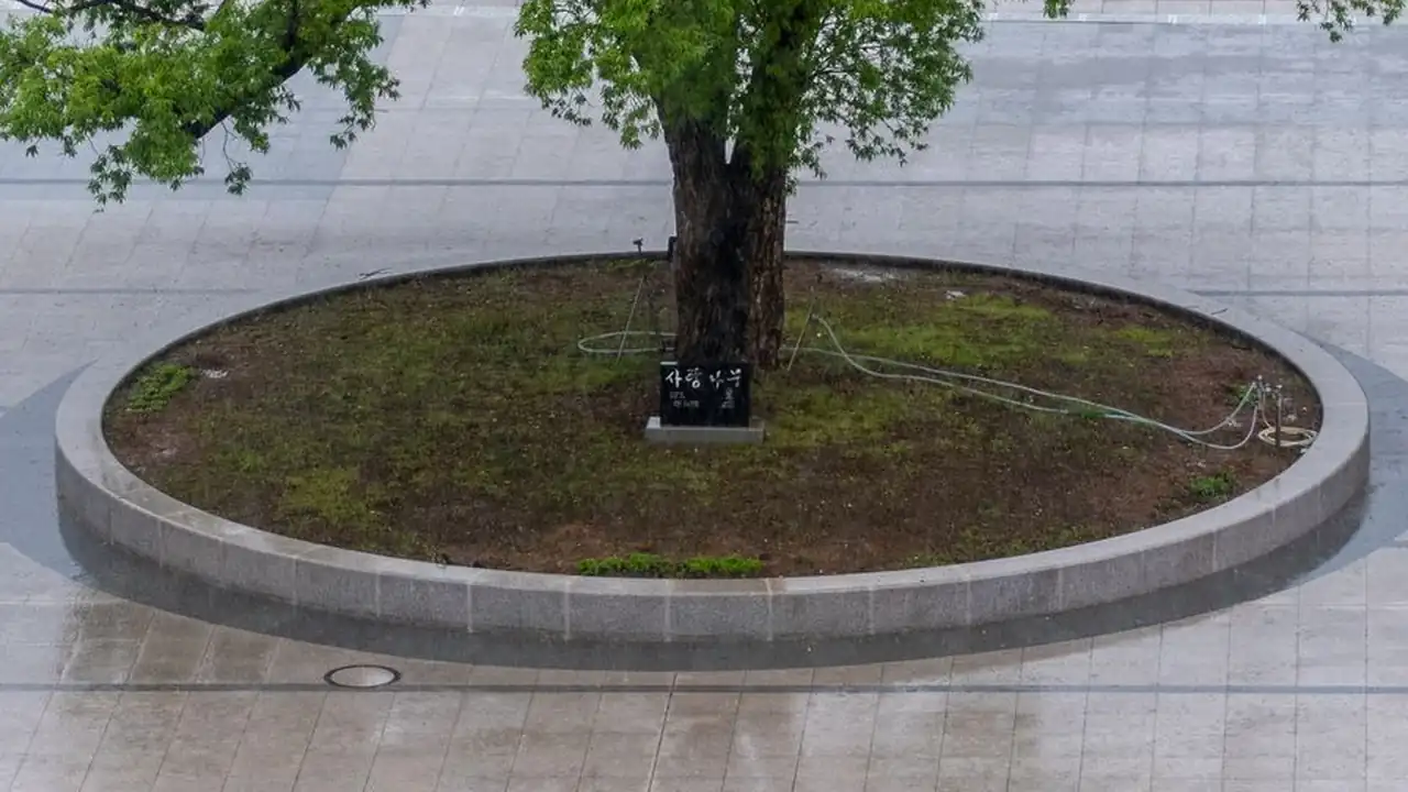 搜索亚洲色吧时需要注意哪些问题