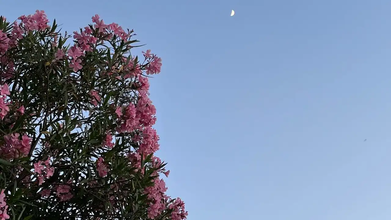 如何在手机上实现成全世界免费高清观看及使用须知