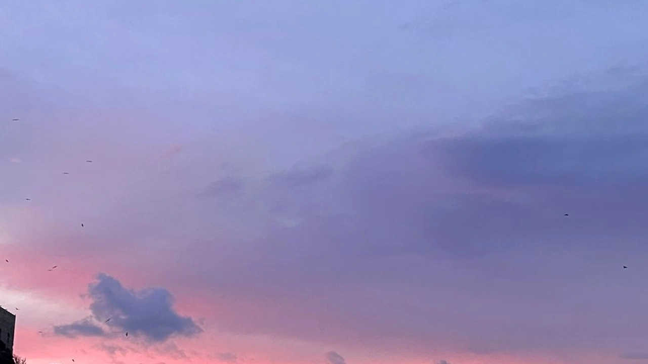 毛萱豪头像